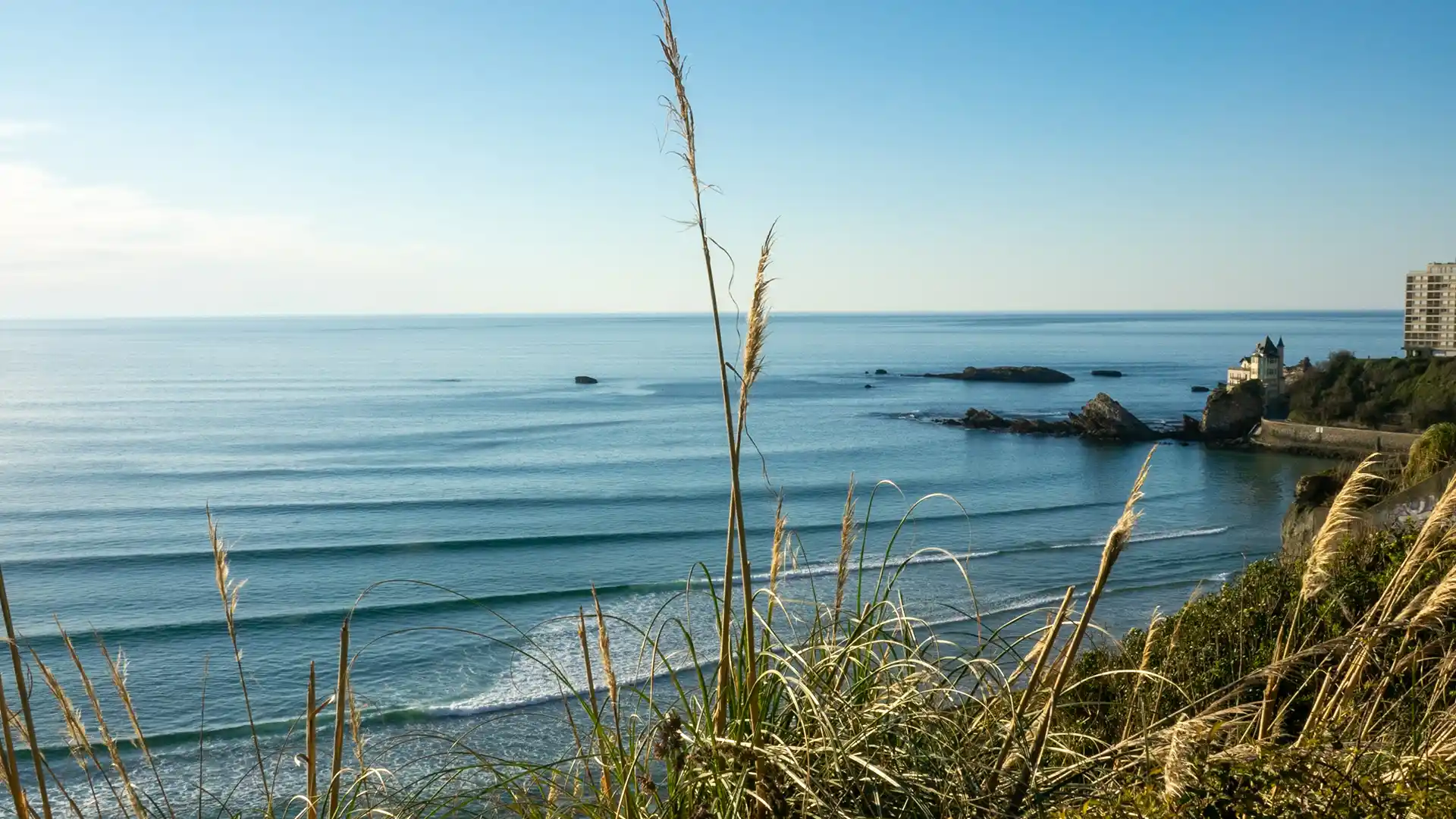 Session de surf — école de surf à Biarritz, Côte des Basques